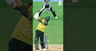 Best-Yorker-Icc-T20-World-Cup-2022-funnyshorts-shorts