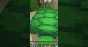 Everything-you-know-about-turtle-Minecraft-minecraft-turtle-gaming-trending-viral-shorts