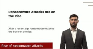 Rise-of-ransomware-attacks-globally