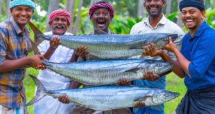 3-BIG-FISH-FRY-Streaked-Spanish-Mackerel-Fish-Fry-Recipe-Cooking-In-Village-Vanjaram-Meen-Varuval