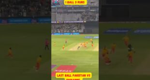 Last-Ball-thriller-Icc-T20-World-Cup-2022-pakvszim-shorts